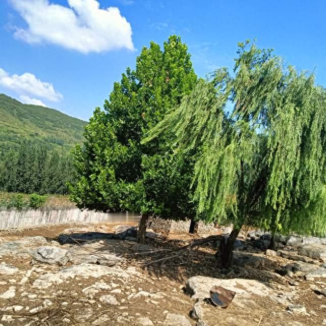 打击网络水军，撕掉流量虚假泡沫，还网络一片晴朗