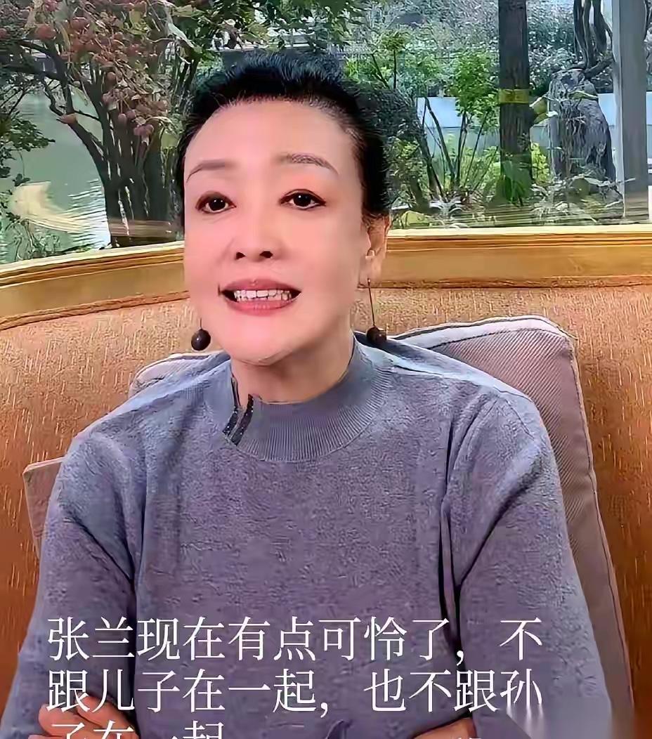 兰姐真的是太难了，小菲这样对兰姐好吗？他说以后他和小梅的孩子，兰姐不用管。真的是