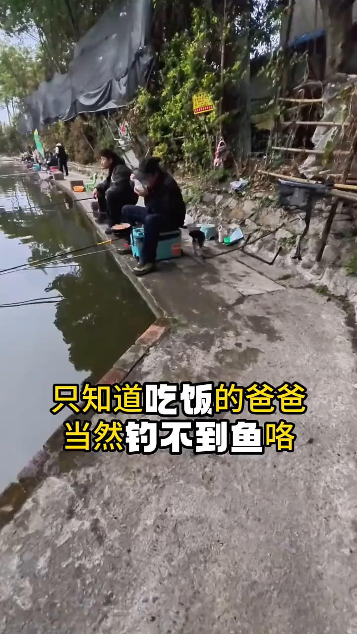 只知道吃饭的爸爸当然钓不到鱼咯。