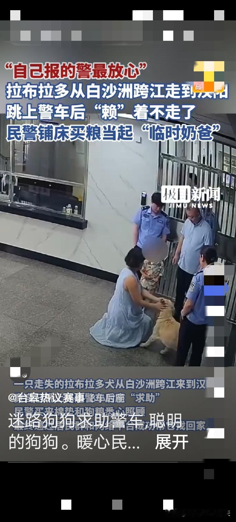 世间最治愈的温柔，往往藏在人与宠物的双向信任里。近日武汉一则真实警情刷屏网络，一