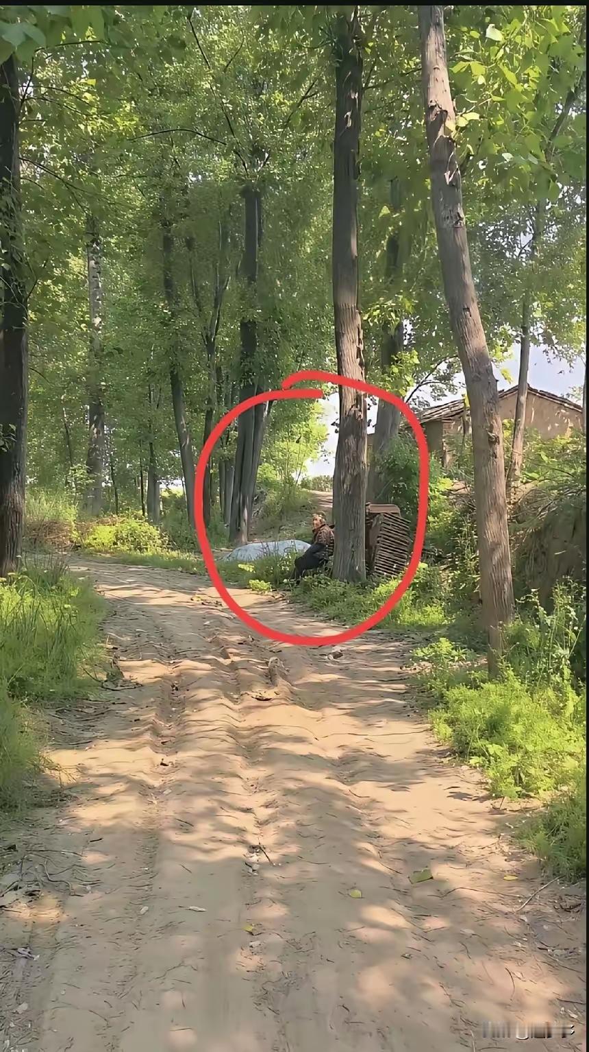 这个留守的老人一个人孤孤单单的坐在一棵大树下的小路边上，既没有看到她的老伴，也没