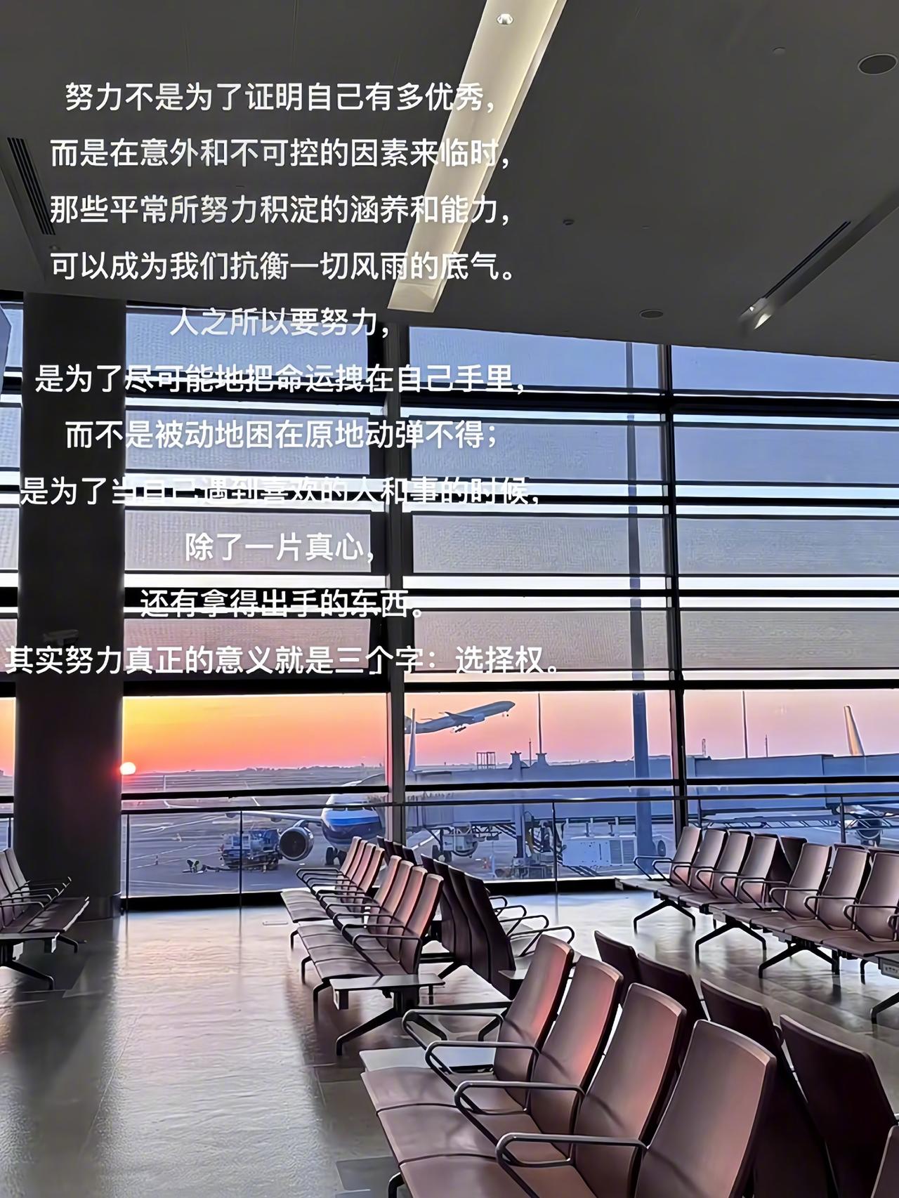 努力的真正意义是选择权