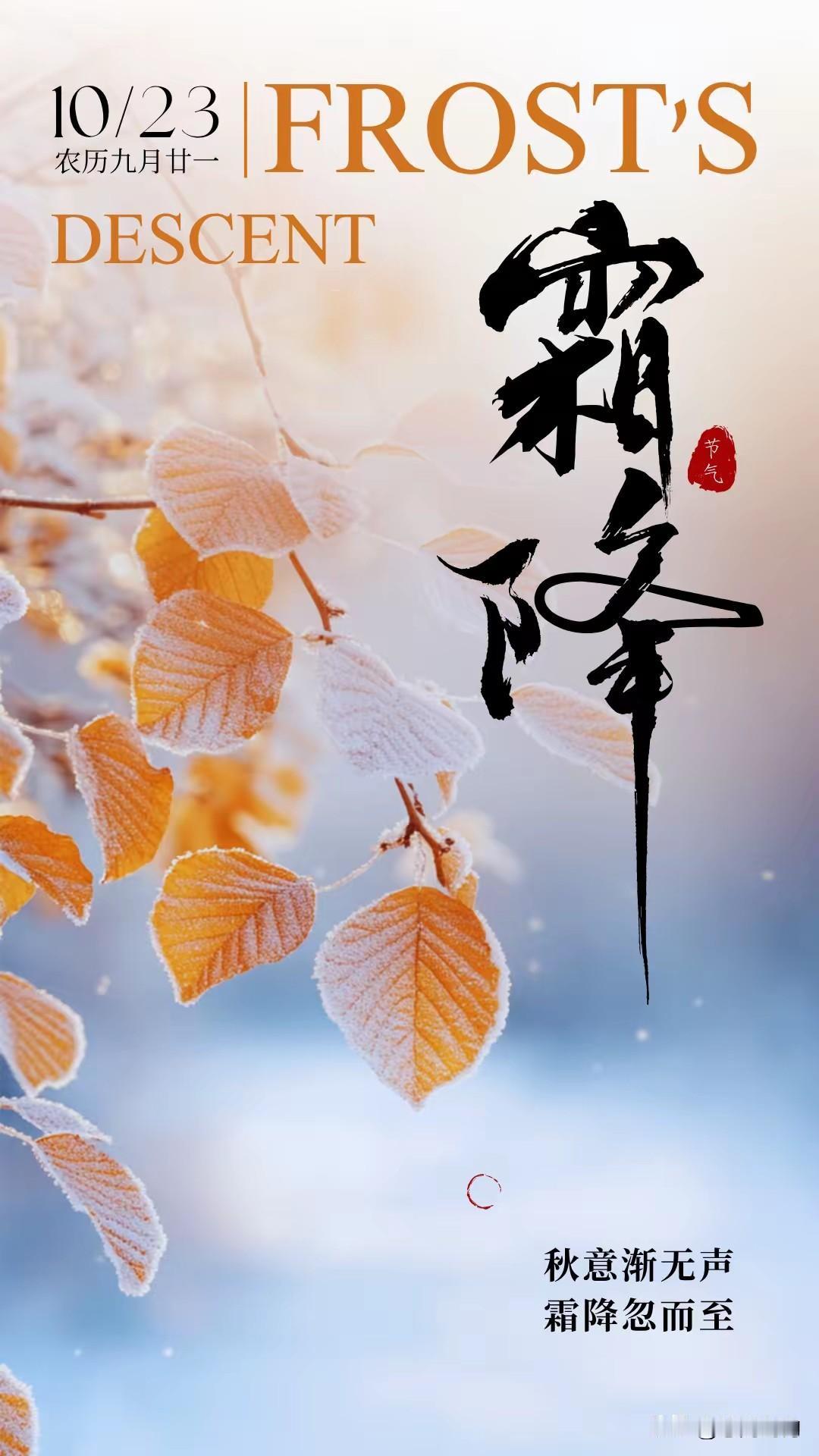 霜降——一年霜落秋凉，愿你安暖无恙