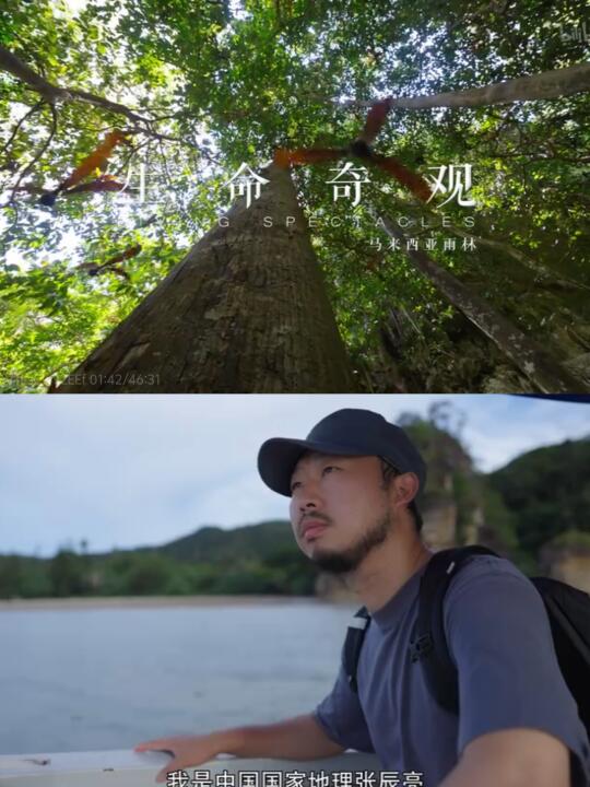 妈耶‼️真的太震撼了‼️生命奇观yyds‼️