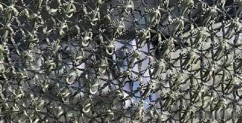 乌克兰无人机横行的好日子要到头了？

谁也没料到，收拾乌克兰无人机的，不是什么高