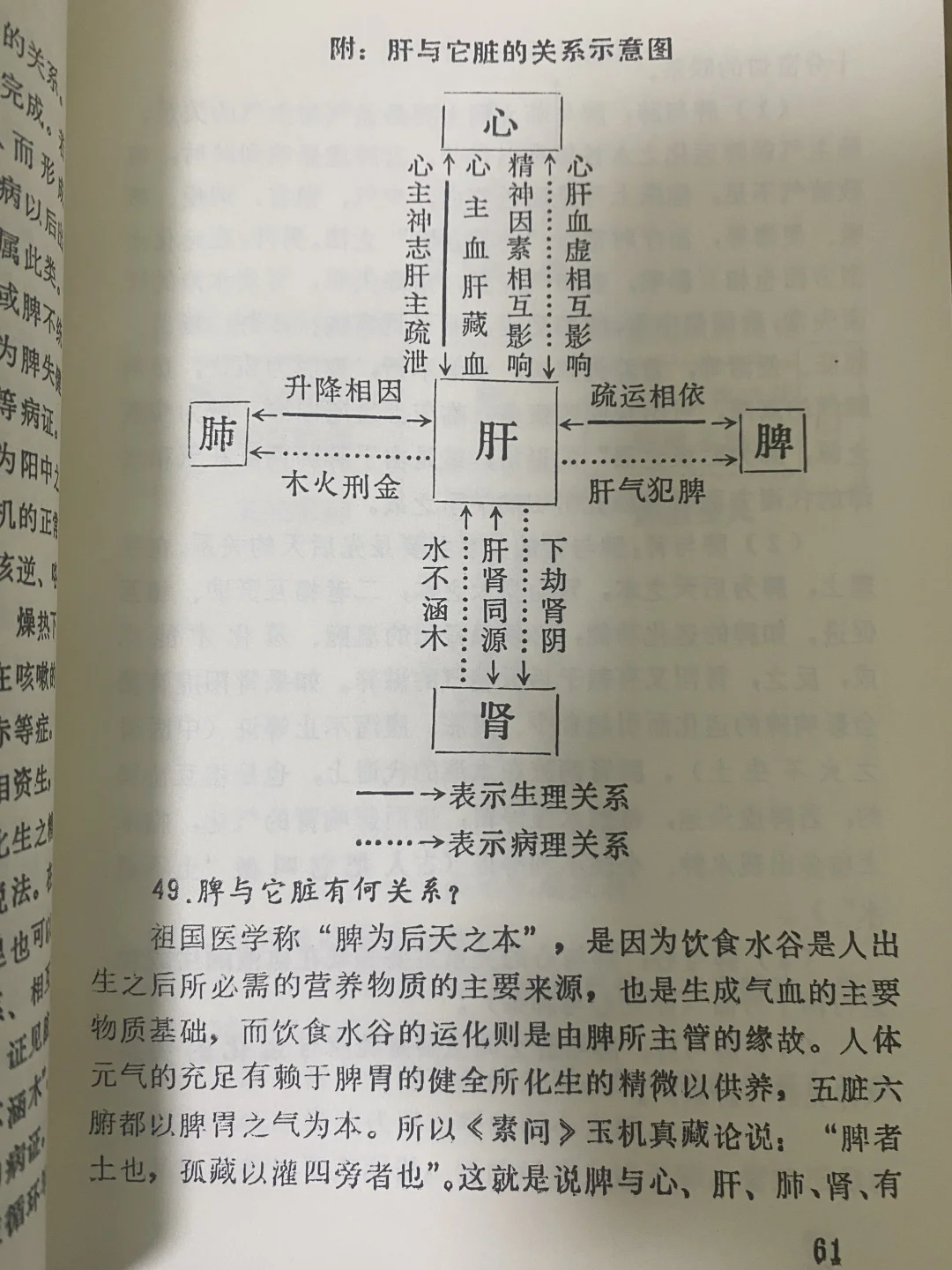 中医上说的肝气犯脾是什么意思❓❓