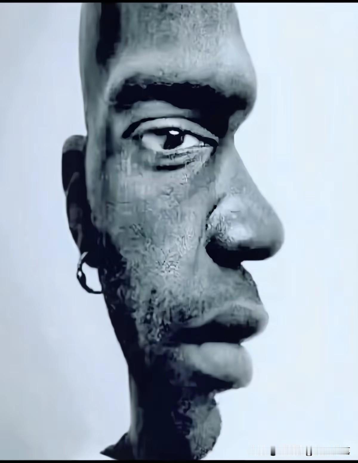 这张图诡异，第一眼与第二眼不同，视象变幻中，考验眼力。让人迷惑不定是怎么做到的。
