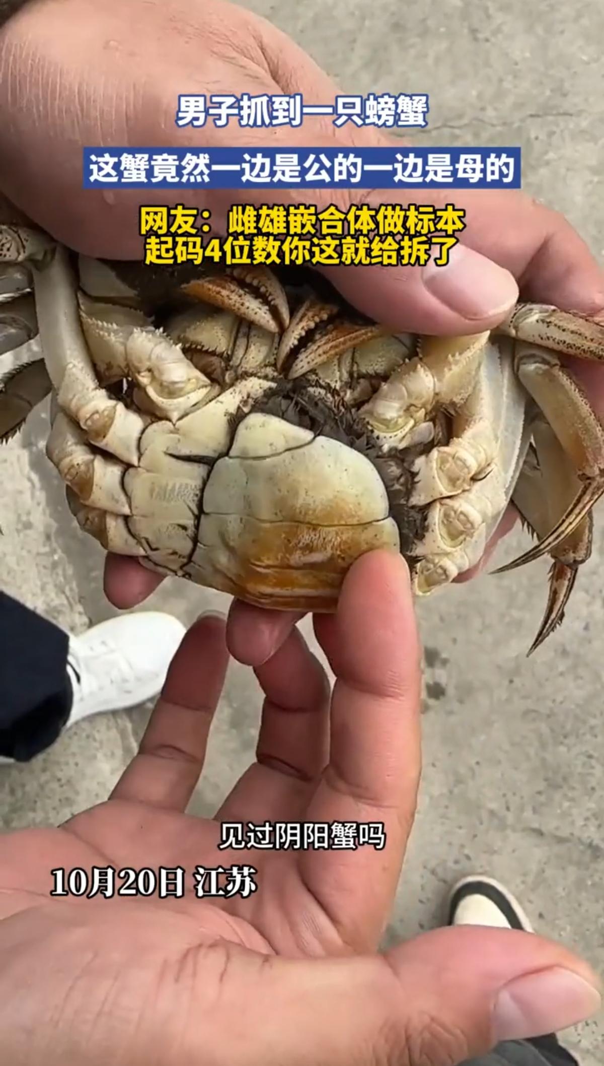 太可惜了!男子抓到