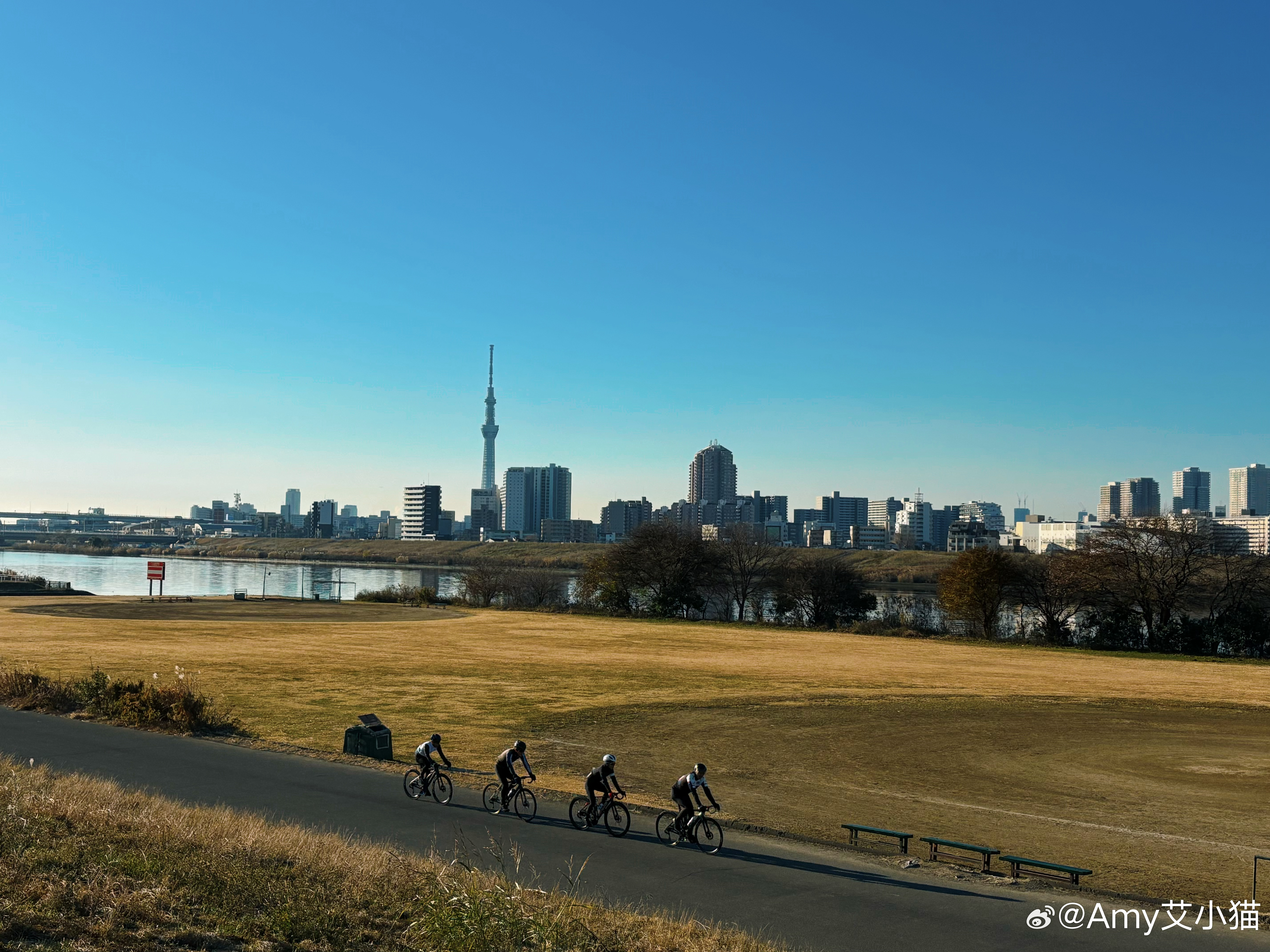今年日本🇯🇵新年长假9连休[爱慕]回东京啦！终于可以在没有雪的地方训练了🏃