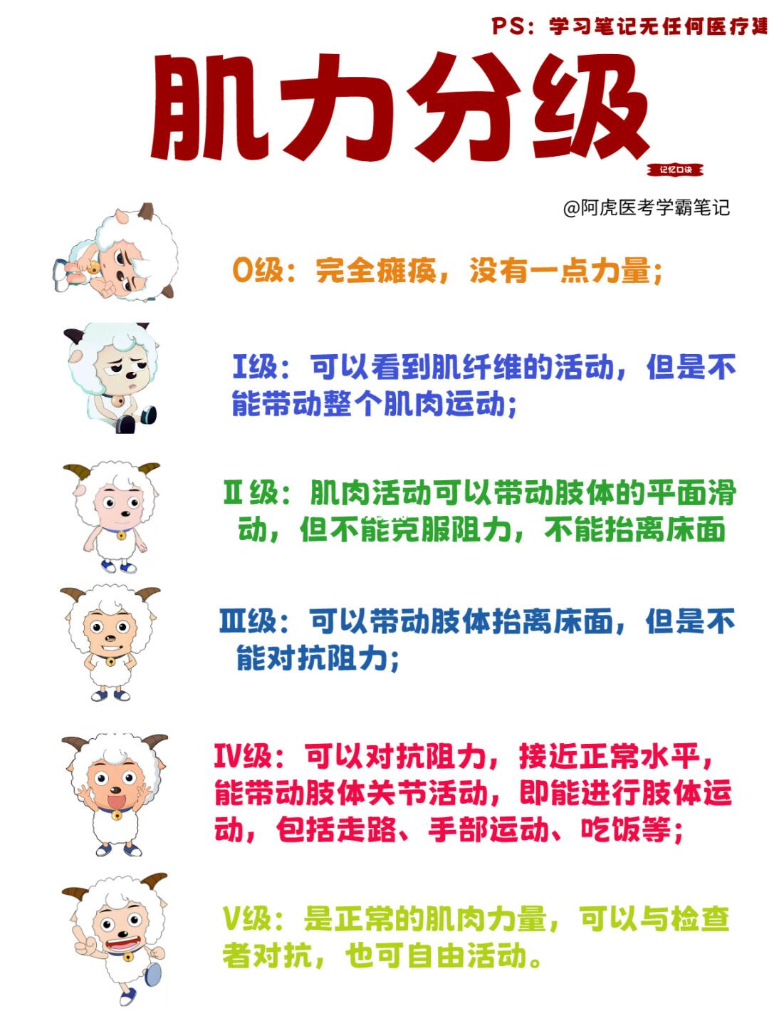 医学生笔记📒｜肌力分级👆