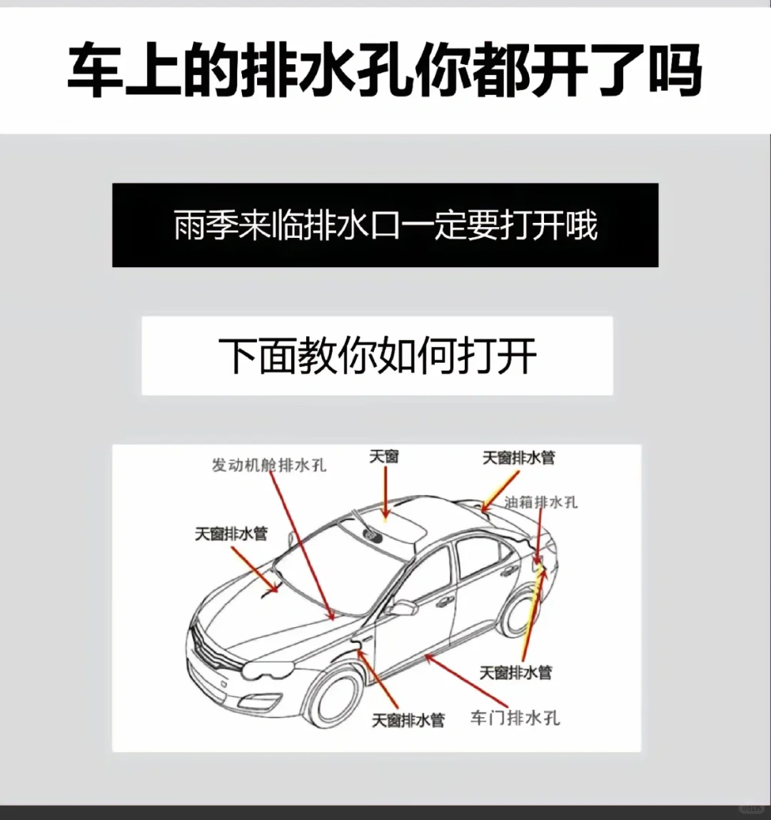 车子排水吼位置