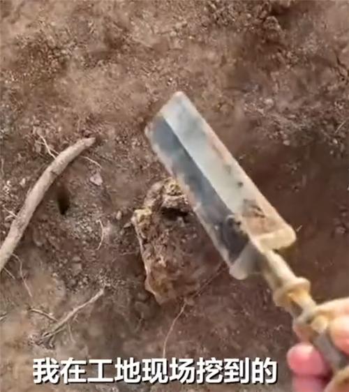 1月15日，湖北浠水毕先生把工地挖到的疑似战国青铜剑上交县博物馆，获200元奖励