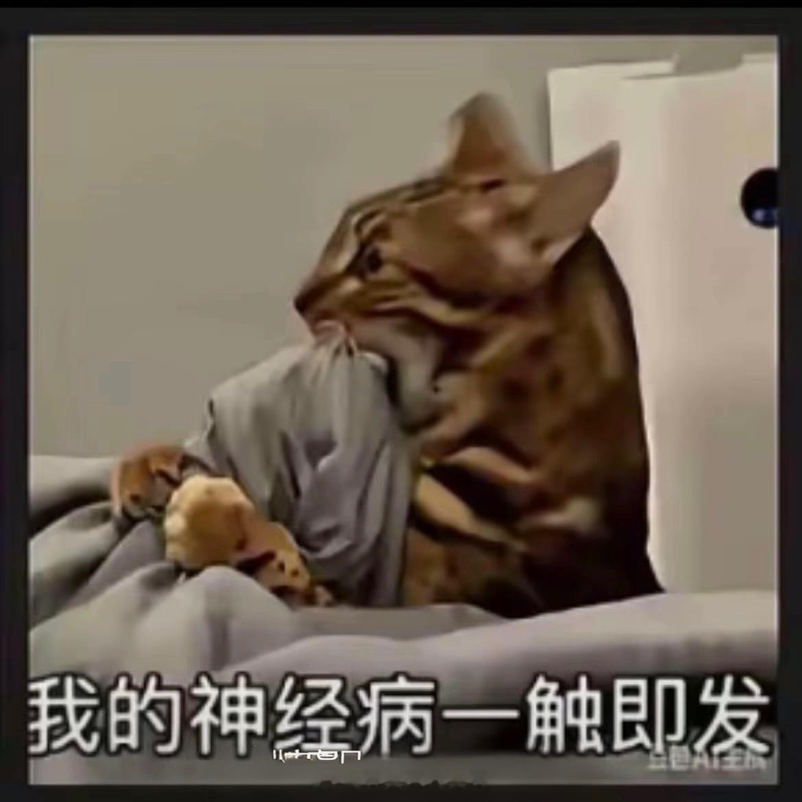 我要睡觉了，没回的sx明天再回哈，请假一晚上，累死我了 