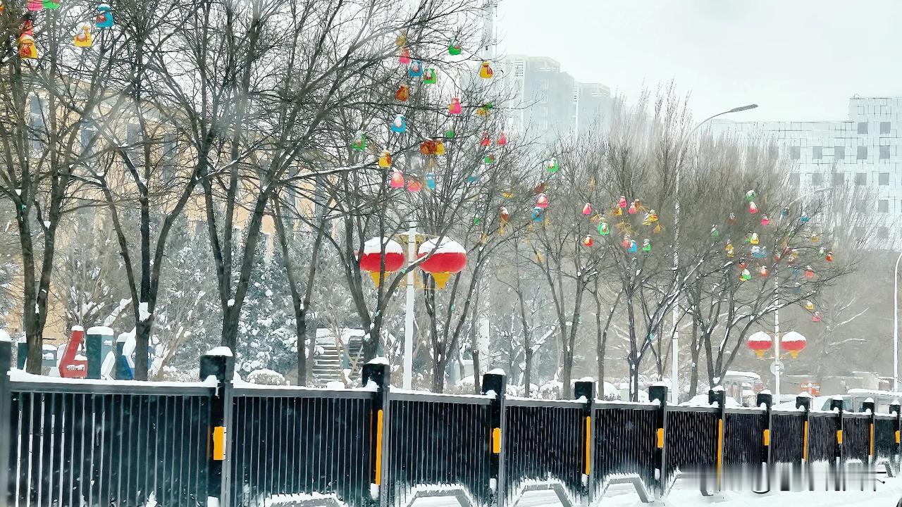 【-28°C 的沈阳怎么游玩？攻略来了】
 
室内景点
 
1、沈阳故宫：虽规模