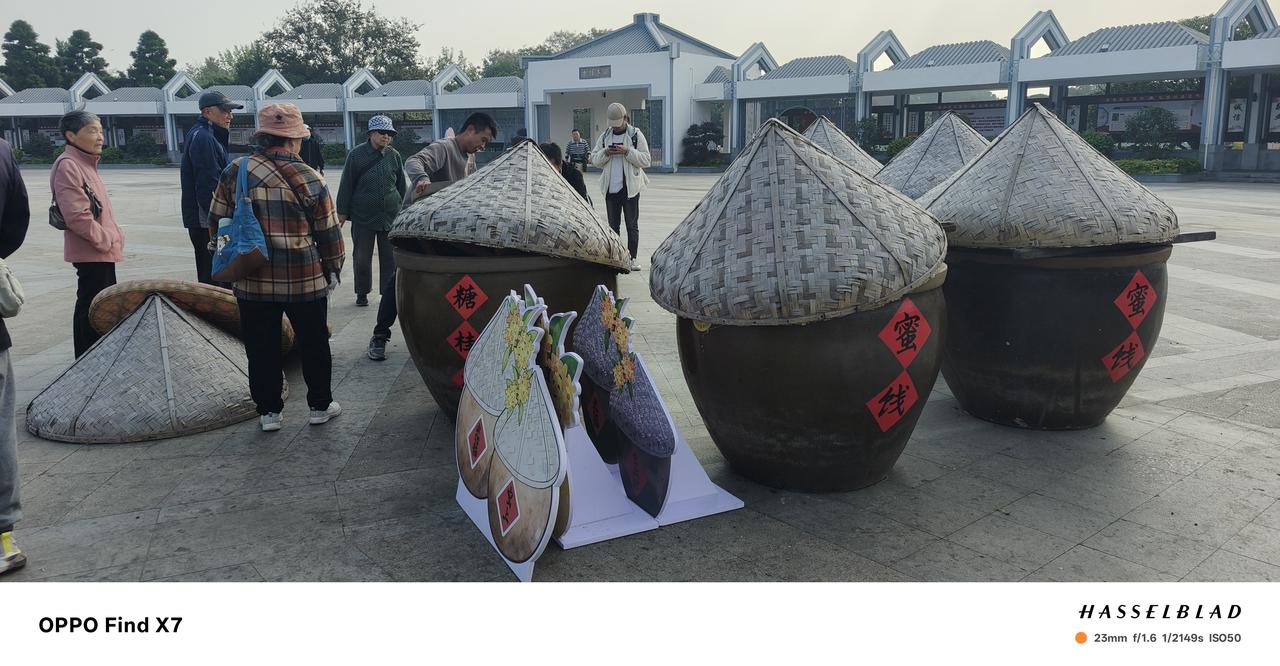 秋天的苏州
 
苏州第三天的早晨，是被8点公交的“摇摆舞”唤醒的。作为一个在无锡