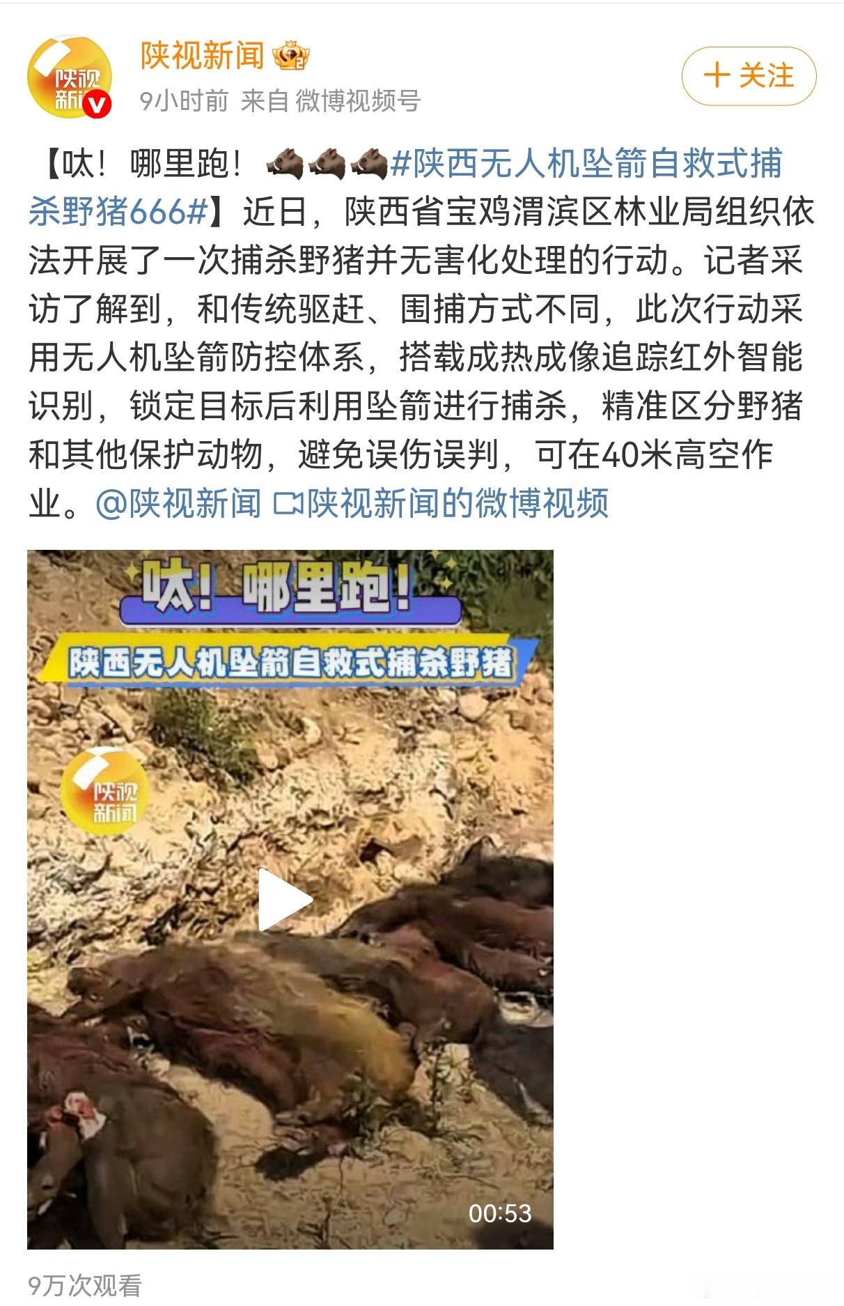 大毛二毛用人命苦练无人机技术老钟用猪命苦练无人机技能 ​​​