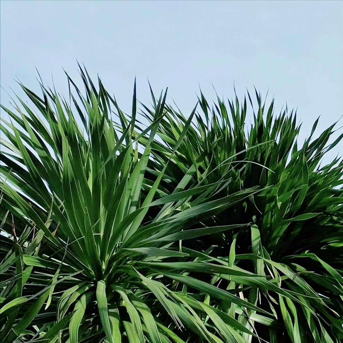 香港各界捐赠善款超1亿港元齐心协力抗灾
 
火灾无情人有情，为战胜26日这场严重