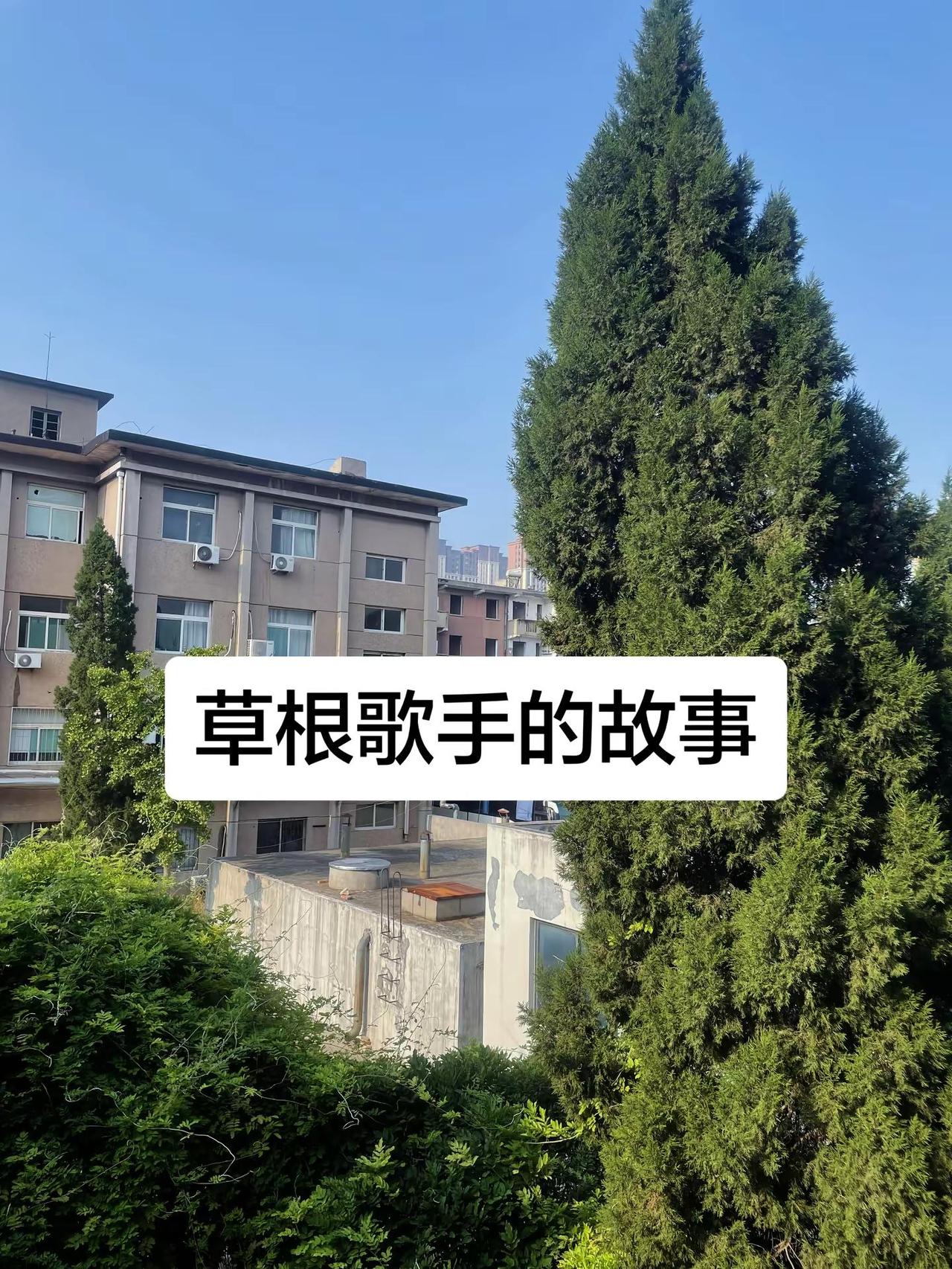 草根歌手的故事。大衣哥朱之文 刘大成 阿宝