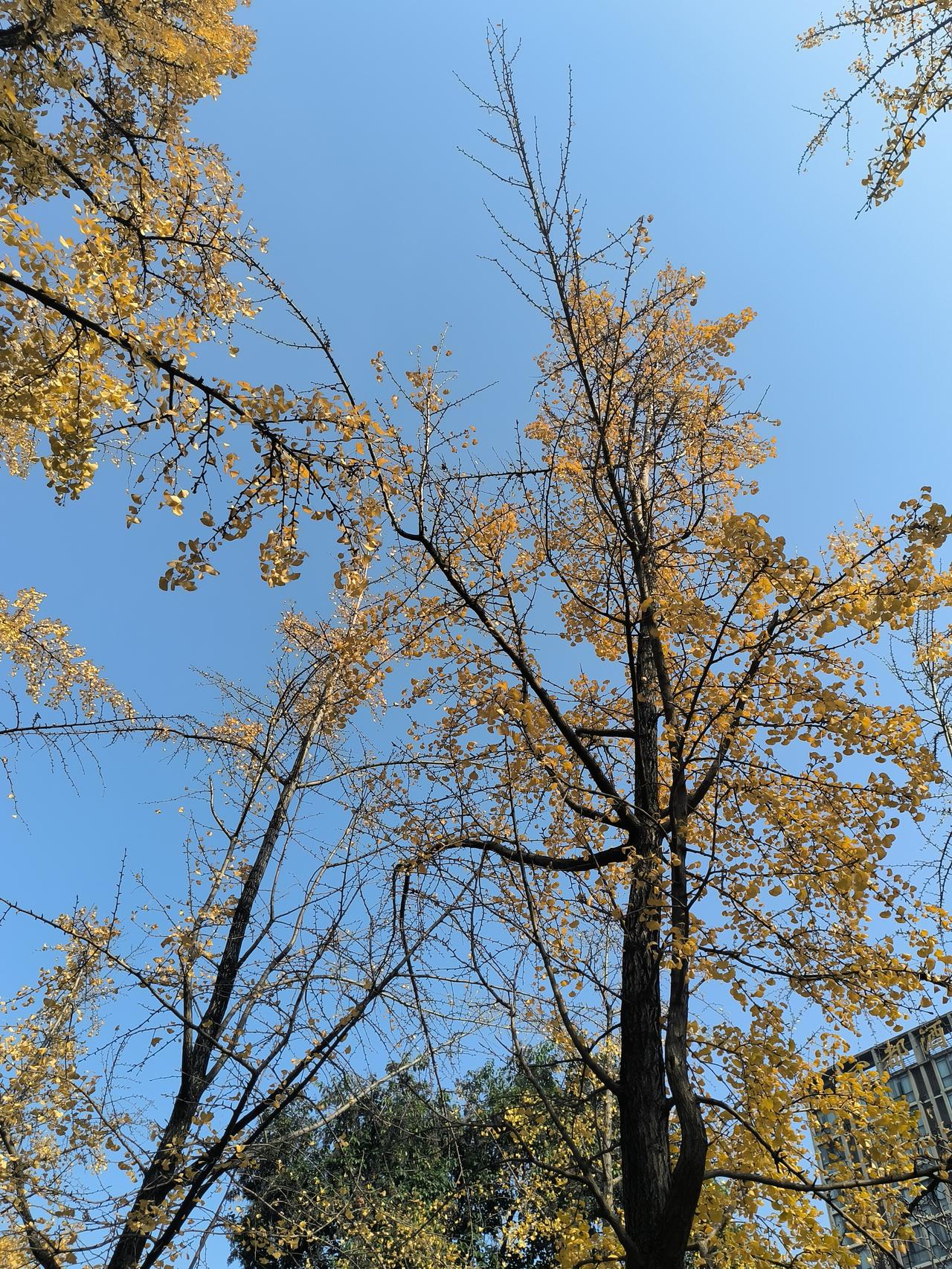 我家孩子今年上高一，平时都在住校，周末才能回家。昨天八点放学，我和她爸吃完晚饭，