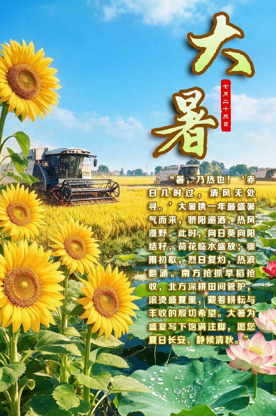 大暑时节，暑气正盛。愿大家今日心情如花一般灿烂，日子安稳顺遂。