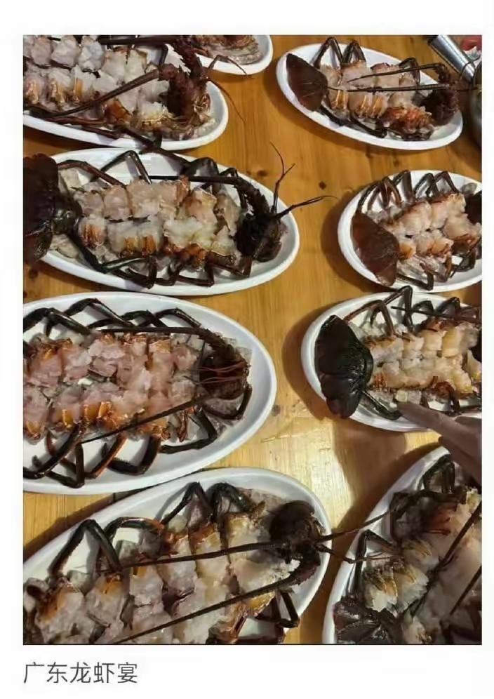 要不然咱们换个摆盘方式吧[笑哭]