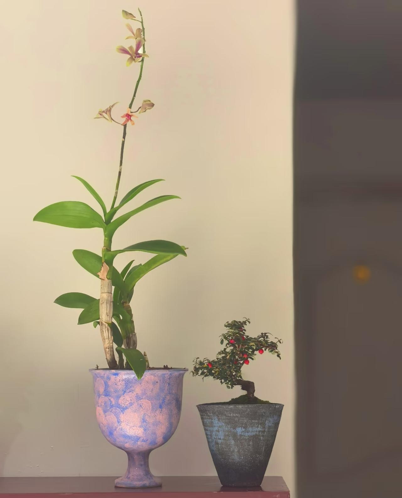 家人朋友身体健康，平平安安，一切顺意