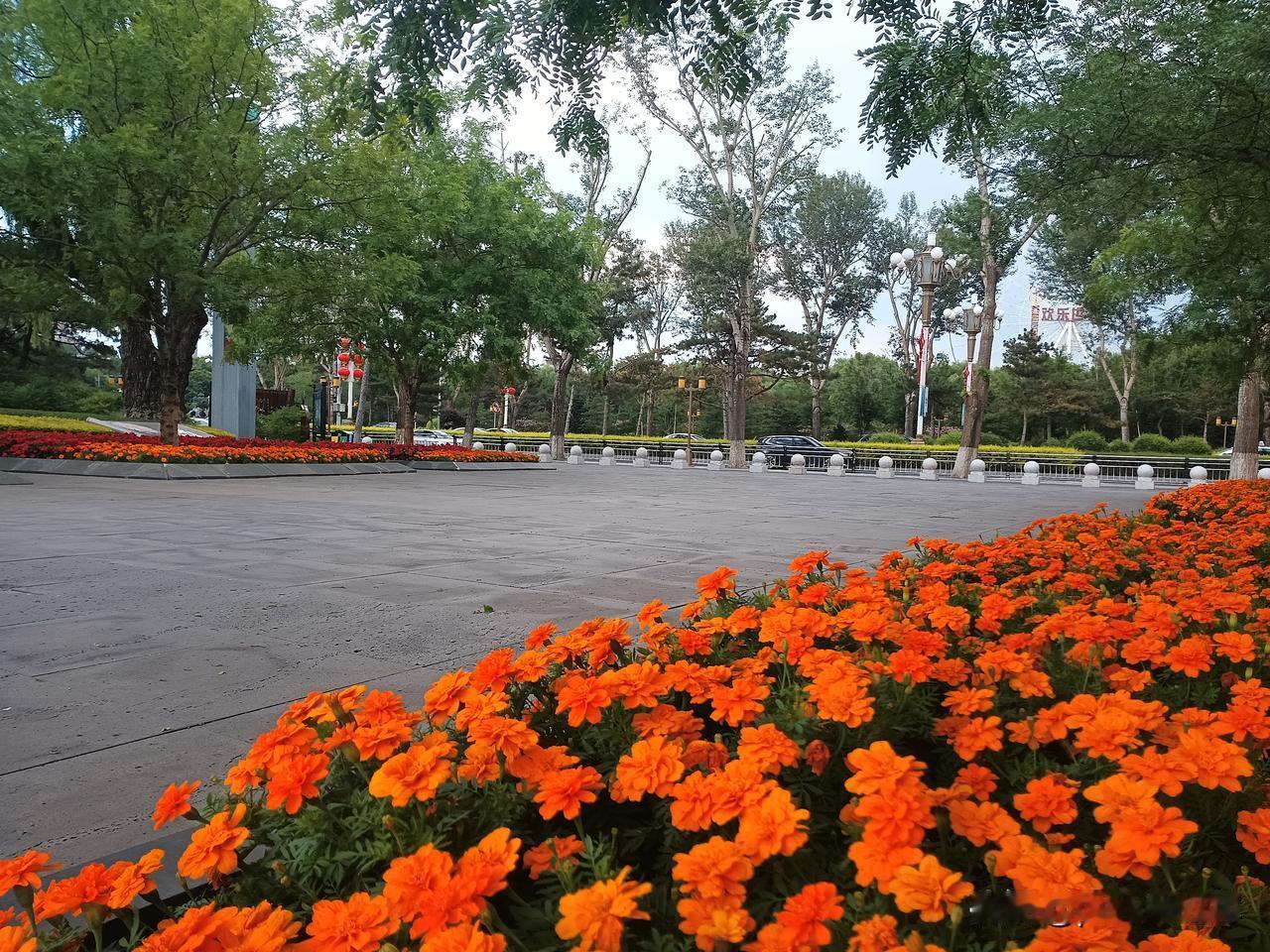 人性
侄女对我说：“大姑，你以后就别和人来往、办事，出去旅游玩玩就行，你不知道人