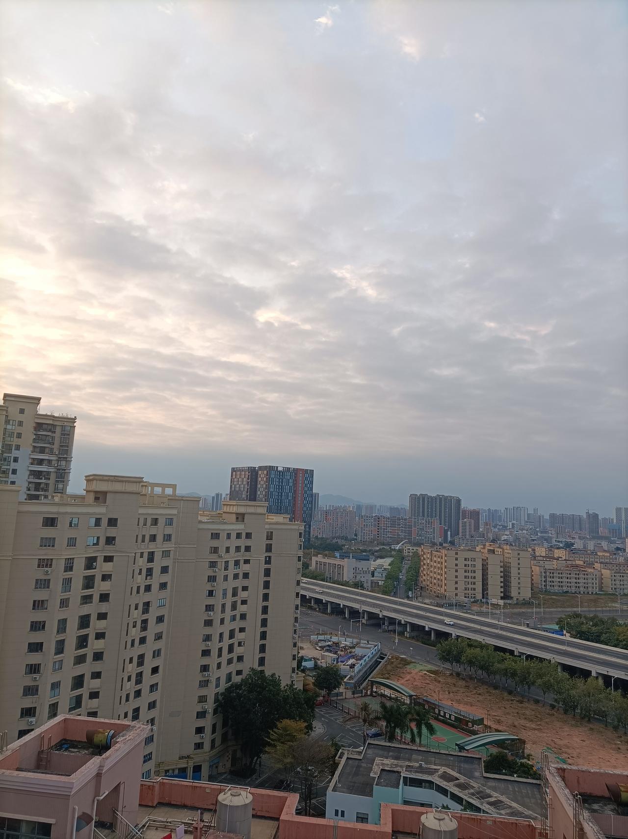 天南地北大拜年今天大年初二，向大家拜年，今天深圳又是一个好天气[作揖]