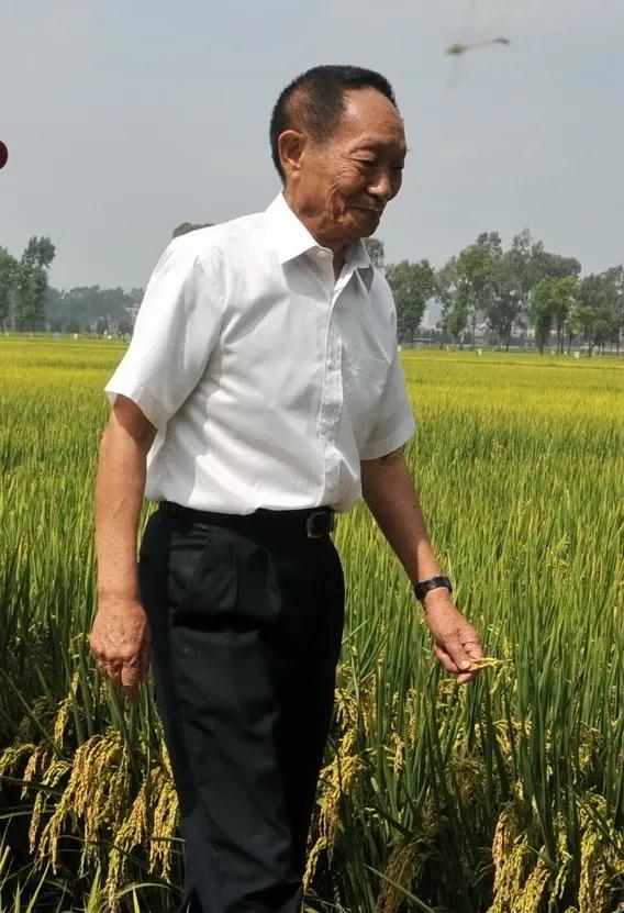 当初袁隆平爷爷把他的水稻技术申请了专利，现在会是首富吗？

如果可以选择，我认为