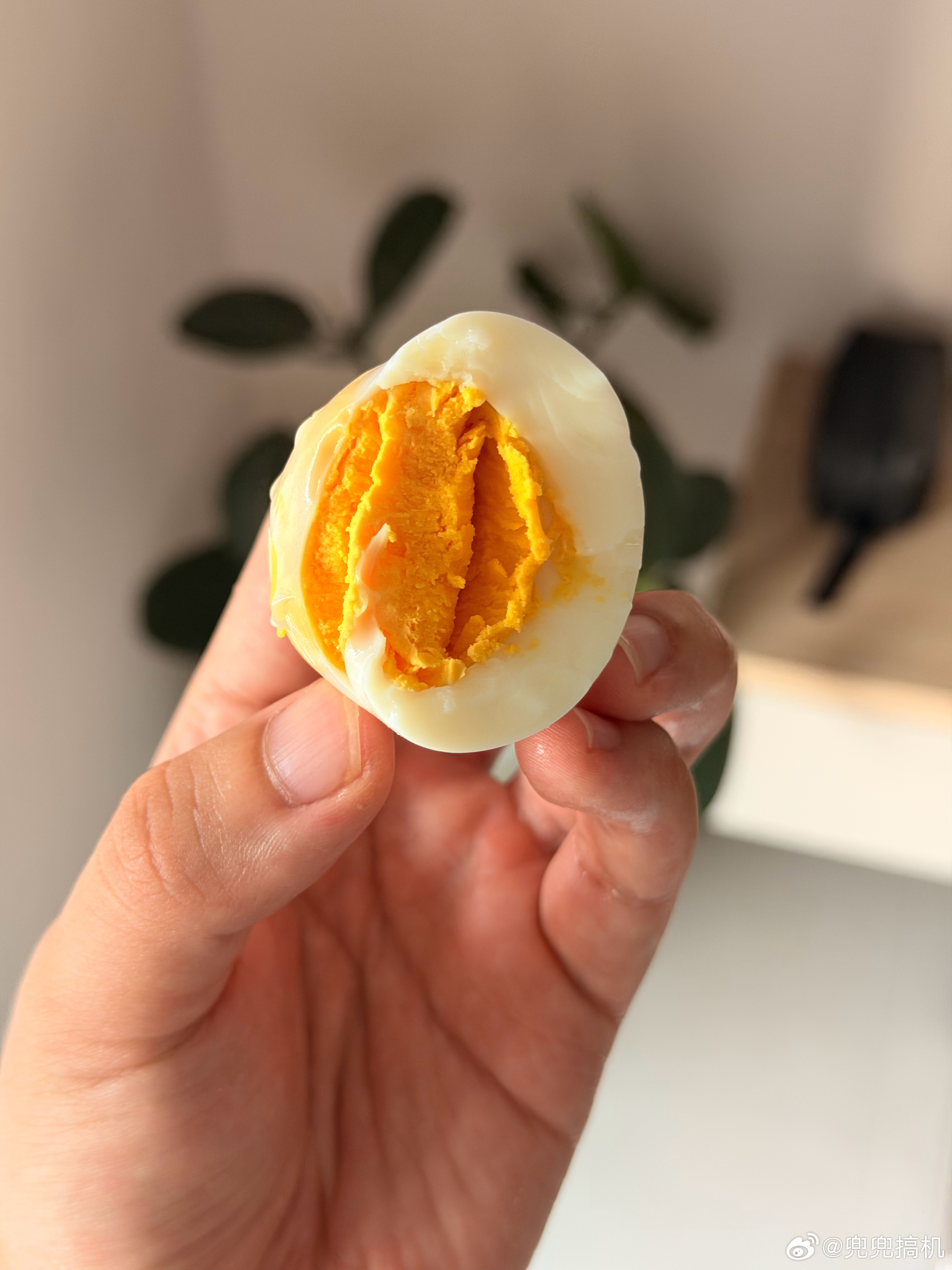 早 昨天下村刚好看到一户人家鸡刚下蛋拿来一个今早煮了煮，还不错[举手] ​​​