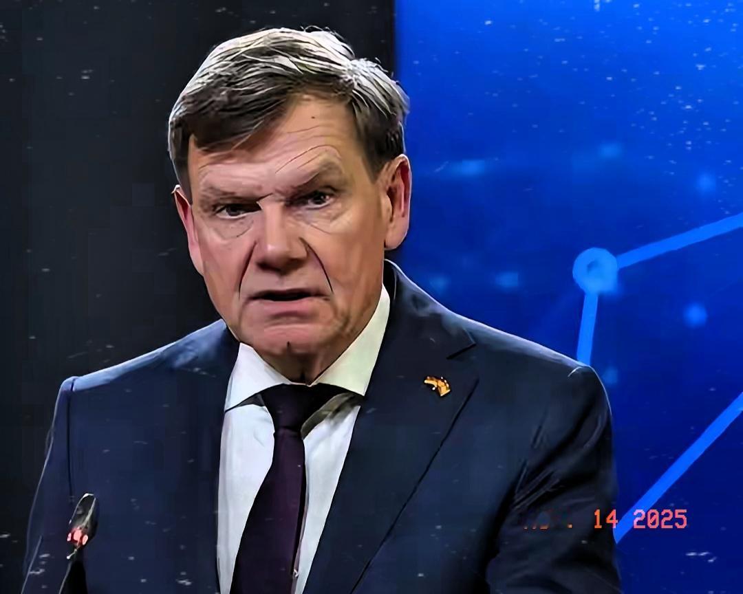 德国为台独分子搭建戏台！
 德国真是不长记性，压根没听进中方的反复警告，也没做任