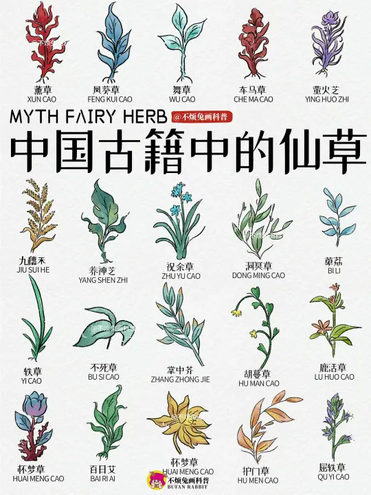 📕古籍里的仙草❗️原来这株草才是古代顶流❗️
