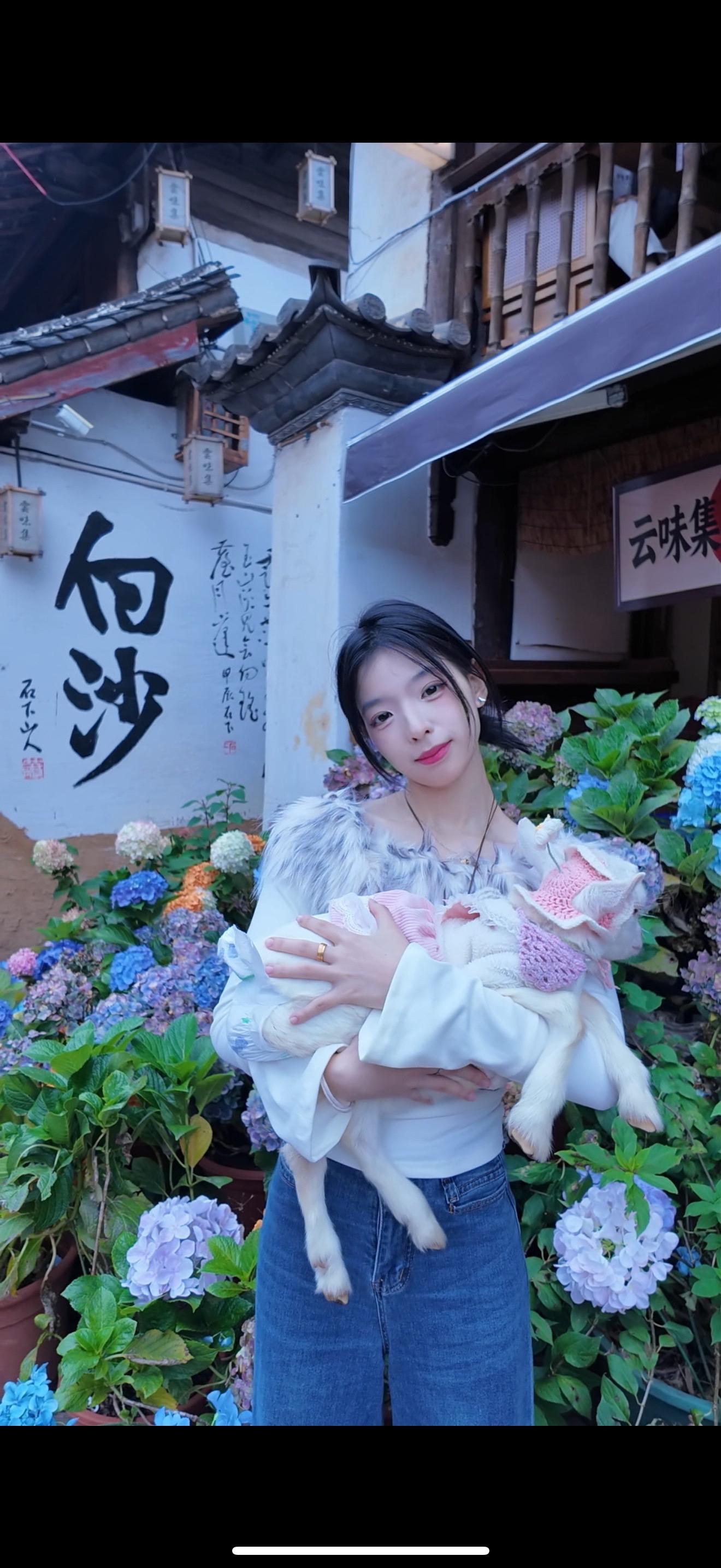 📍𝐋𝐢 𝐣𝐢𝐚𝐧𝐠.  丽江-白沙古镇     “雪山...