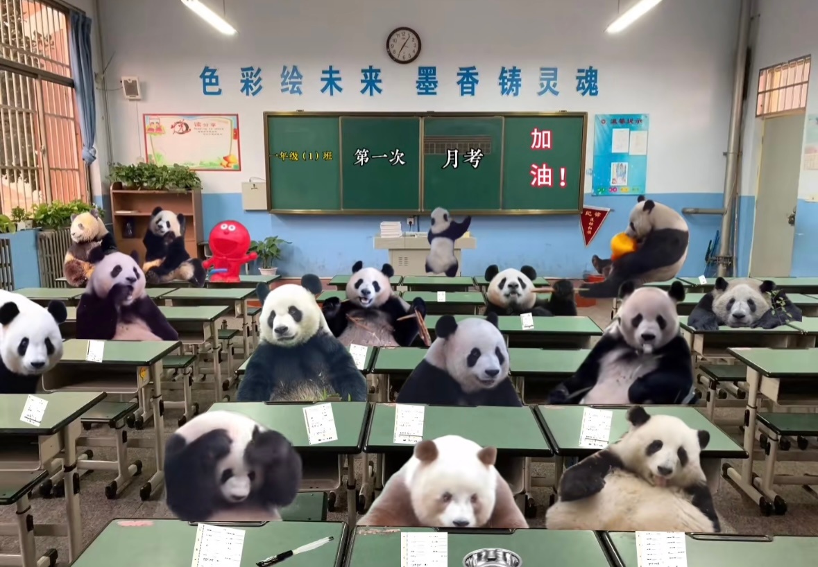 我也想转入🐼班[苦涩] ​​​