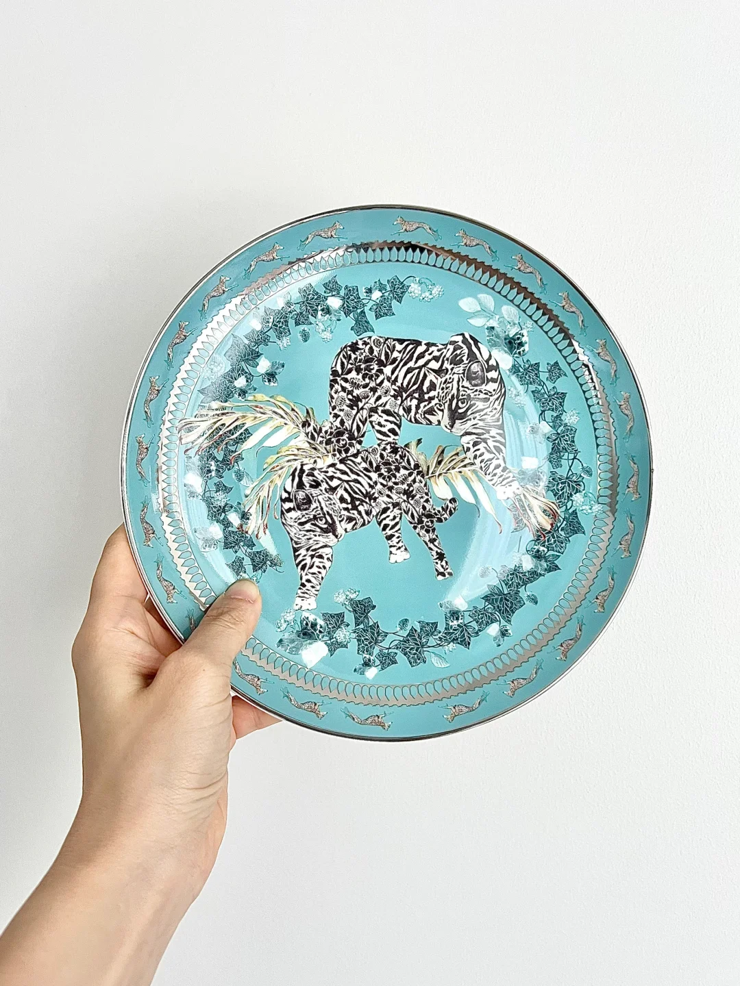 蓝色和紫色盘子哪个更得你心❤️？