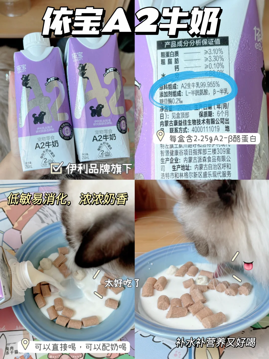 秋日必备📝  |  各个都是养猫精品💗