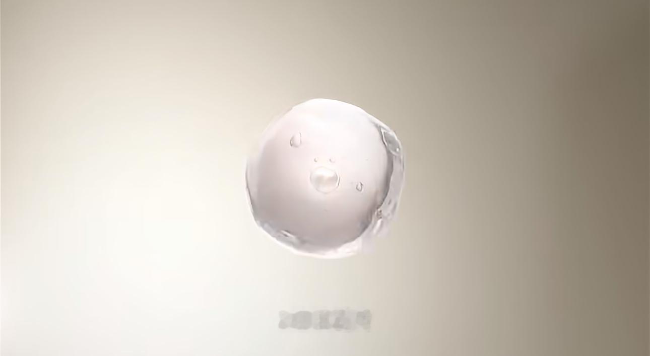 舒蕾王星越达成长效合作和王星越舒蕾一起长效修护，慢慢遇见更好的自己✨点开王星越X