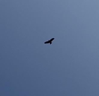 有什么好看电影，你刷了好多遍电影步履不停，在片中有一道美丽树荫下的长石阶多次出现