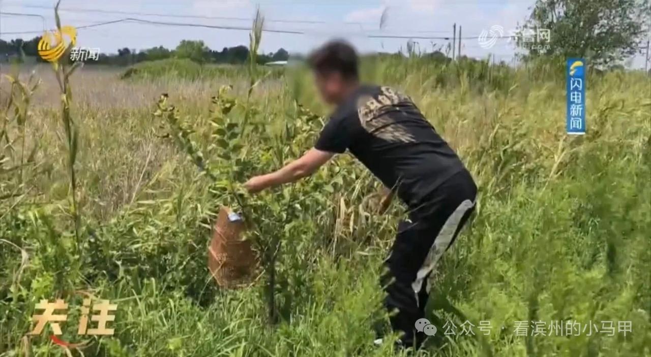 山东生态环境法典首案宣判！滨州三人非法猎捕售卖五百余只野鸟获刑，主犯需公开道歉