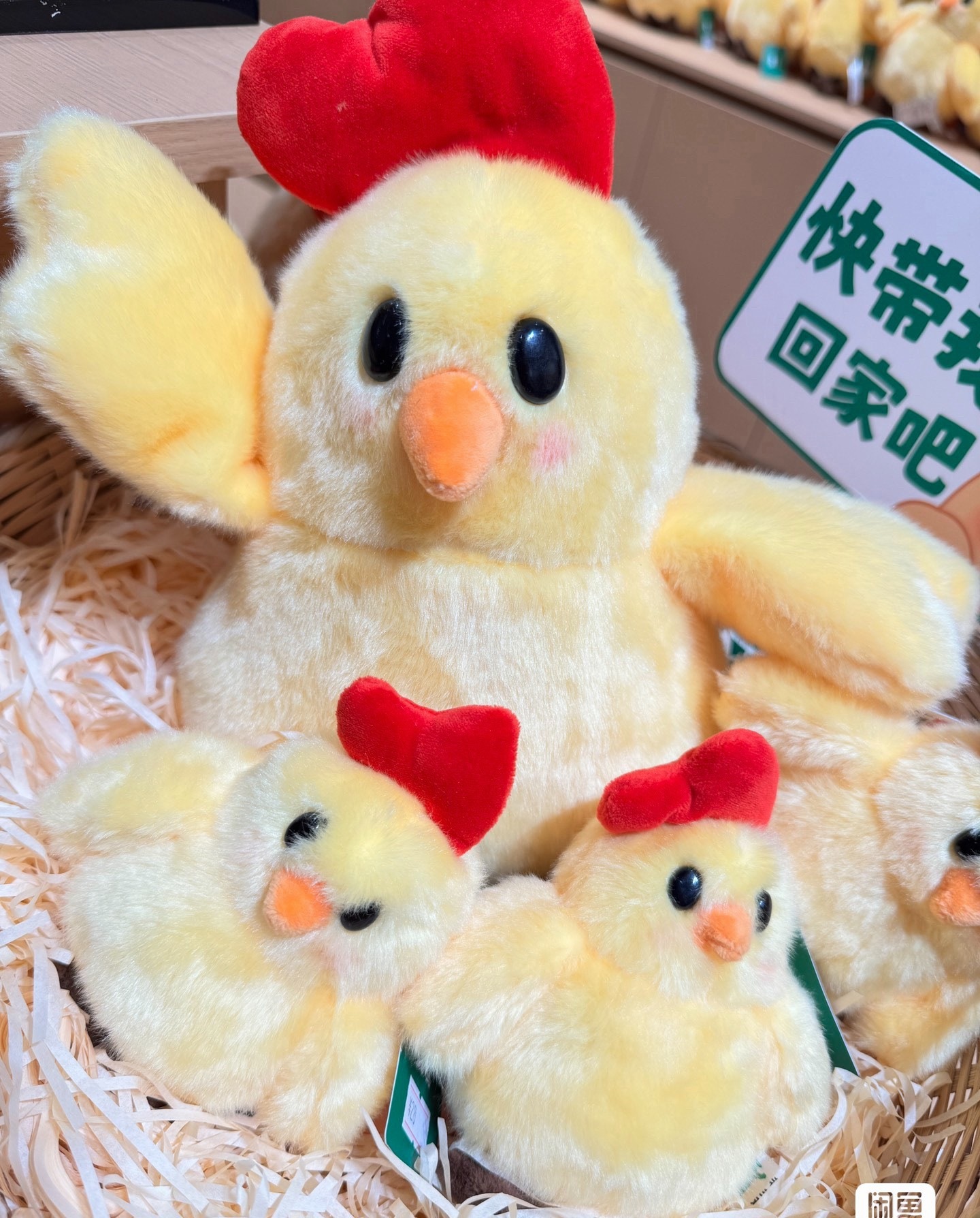 我去还有这种大母鸡孵小鸡🐣，好像我妈妈 