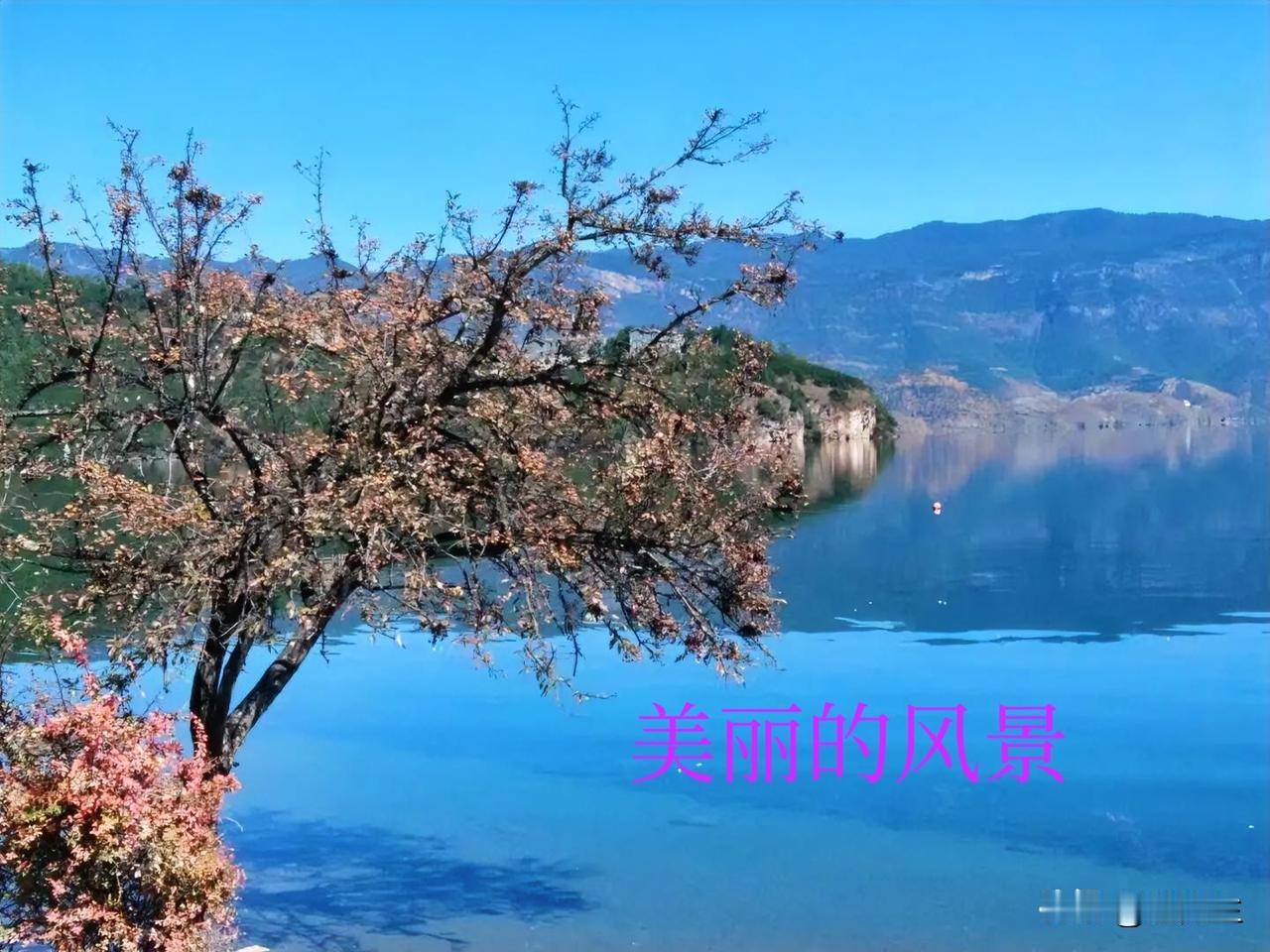 晒图笔记大赛