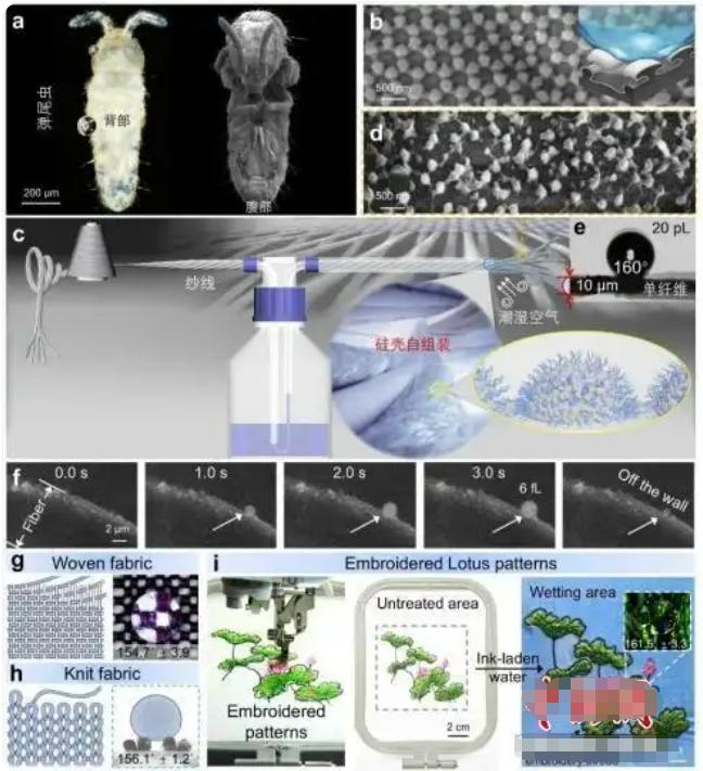 🔬 中国科学家研发无氟超疏水织物，户外党狂喜！
据中国科学院理化技术研究所23