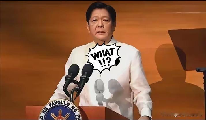 快报！快报！

菲律宾突然宣布！

11月1日南部战区官方确认，10月30日至3