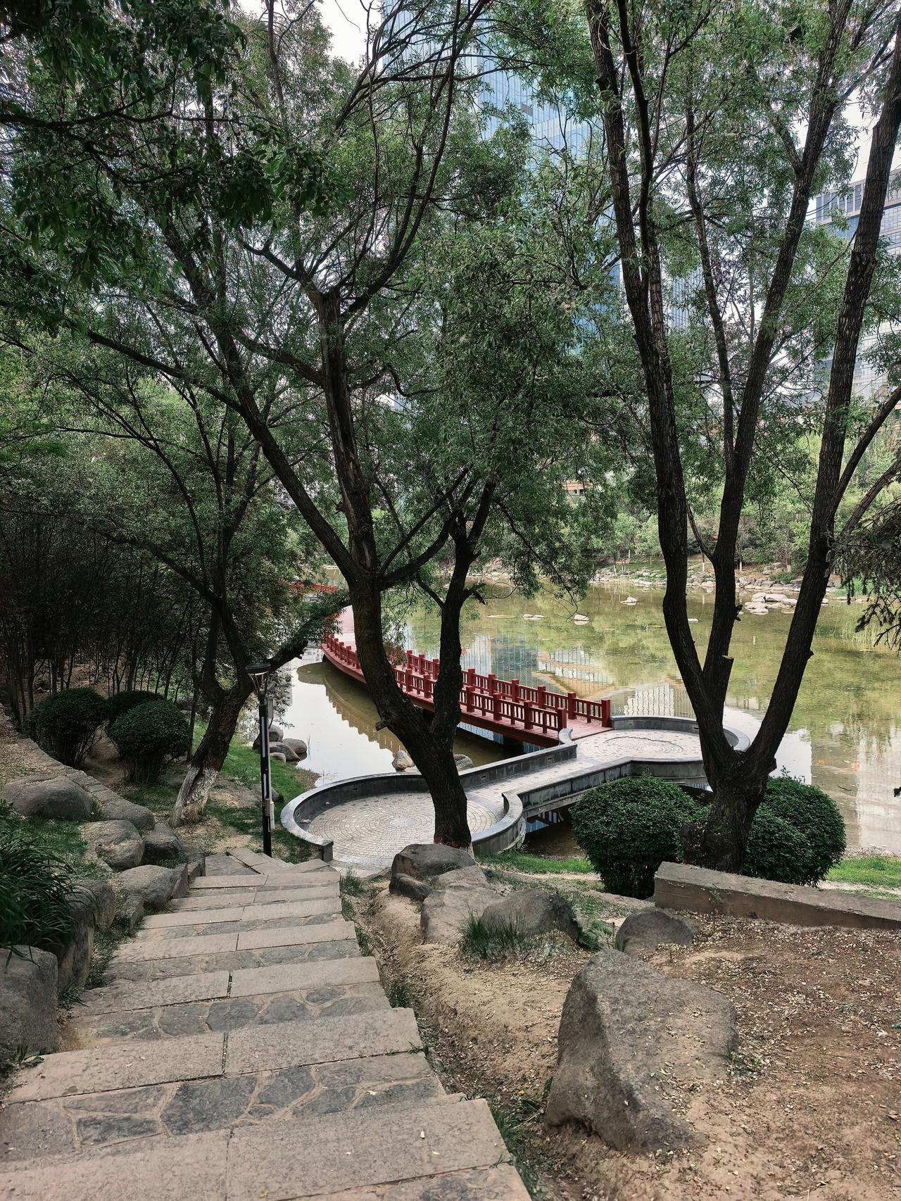 这条路不知走过多少次，陪读前都是和老公一起，如今这样的日子又要来了。