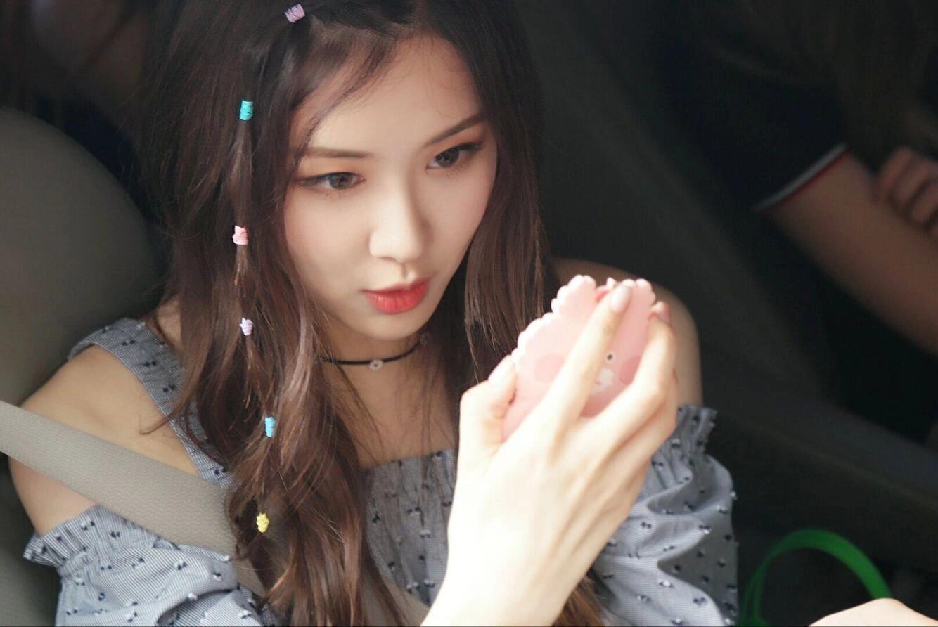 早期完全花栗鼠宝宝🐿️想捏捏脸颊肉cr.见水印 