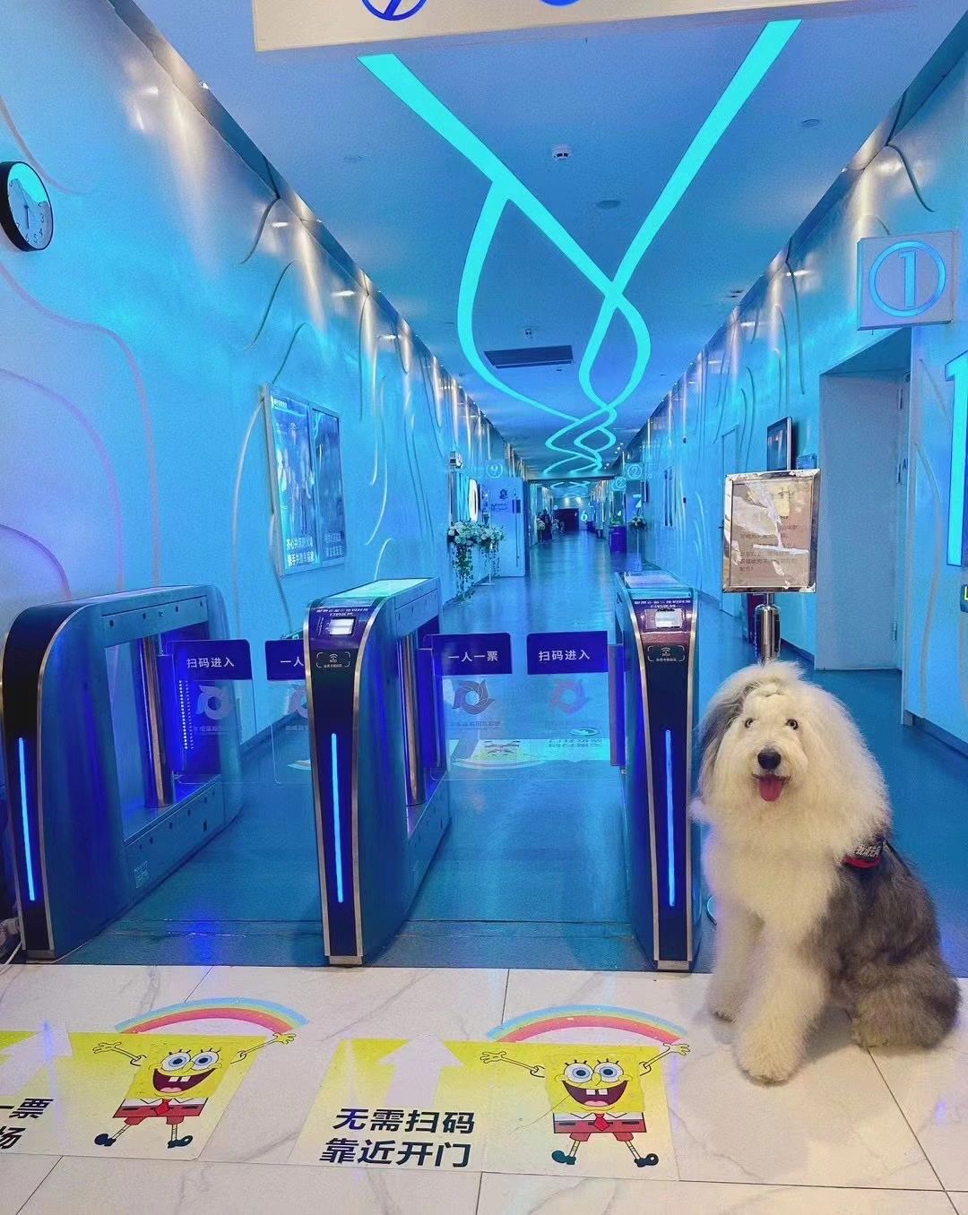 面基啦|12月3日百富在幸福蓝海看电影