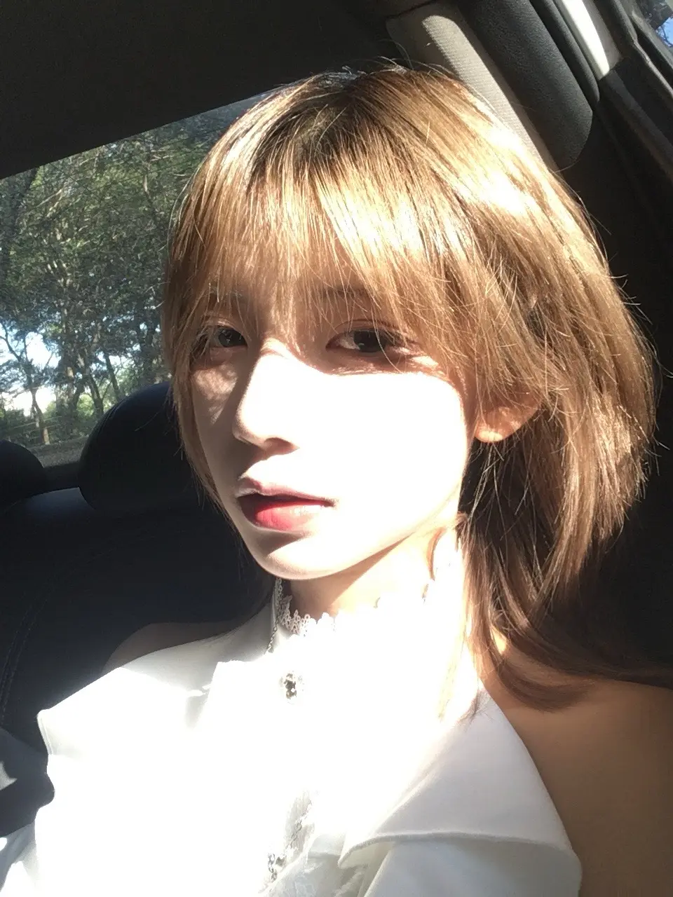 挺喜欢你的 等我们统治地球以后 我让他们把你留下来当我的小仆人 /ᐠ⑅...