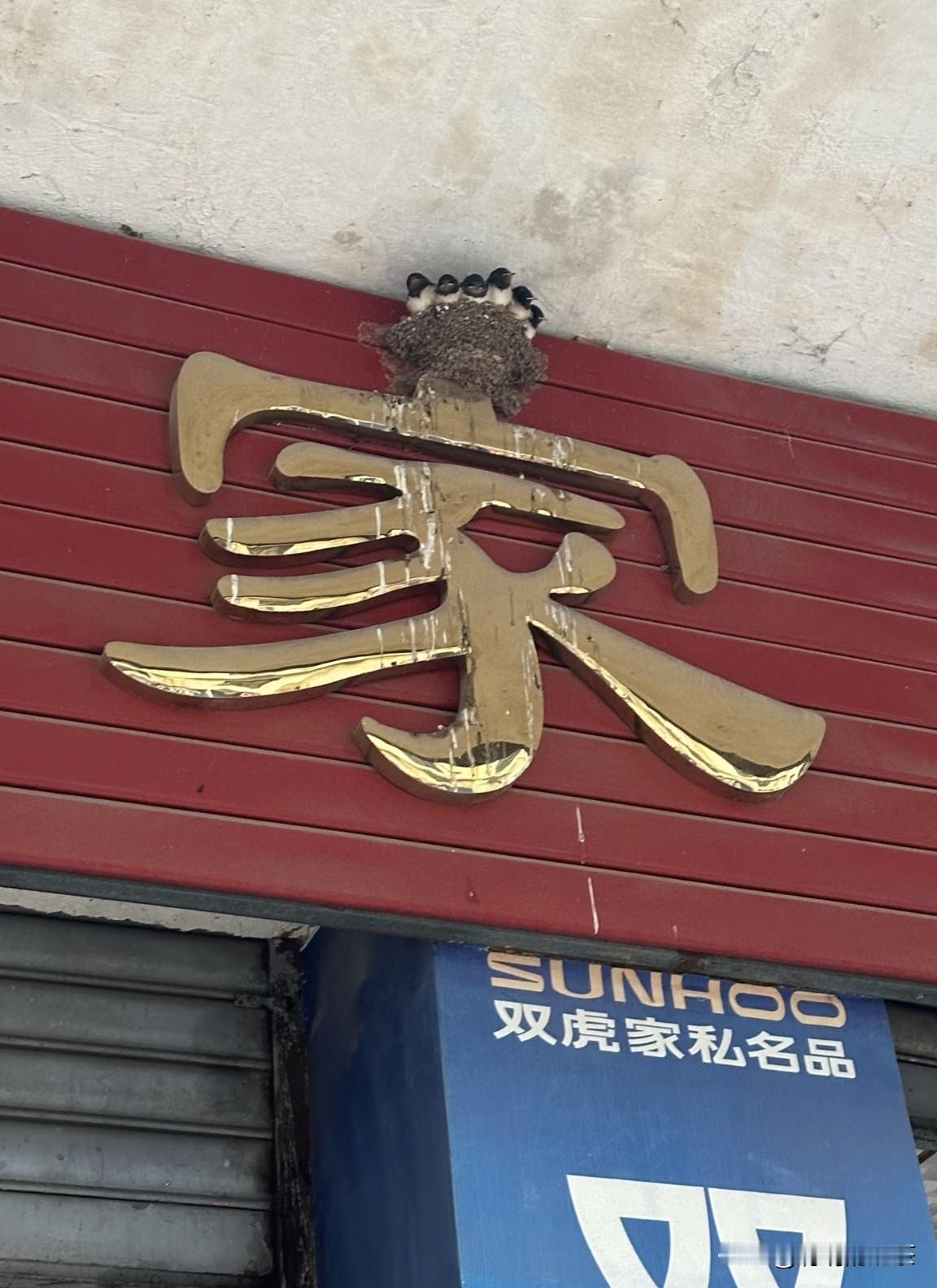 这一家子太会找地方盖房子了！
