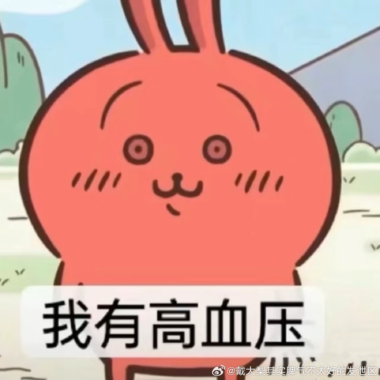 转战韩代今年的衣服有够让人下不了手 ​​​