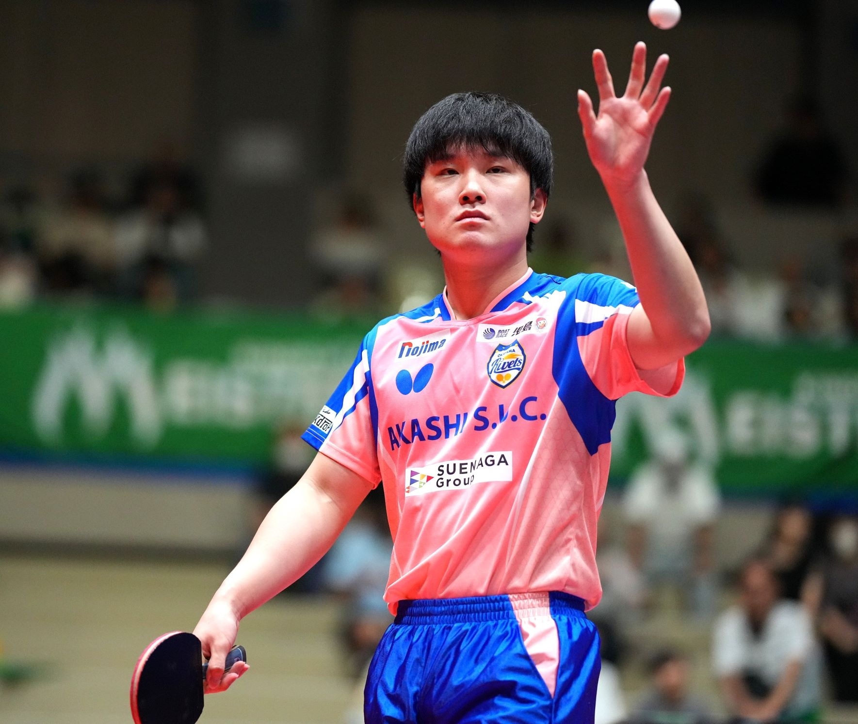 早上好 世界糖尿病日今天也元气满满地加油吧！乒乓球冈山Rivets6号张本智和T